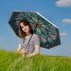 مظلة G4Free للحمايه من أشعة الشمس بمعامل 50 UPF+ والرياح مظلة G4Free للحمايه من أشعة الشمس بمعامل 50 UPF+ والرياح