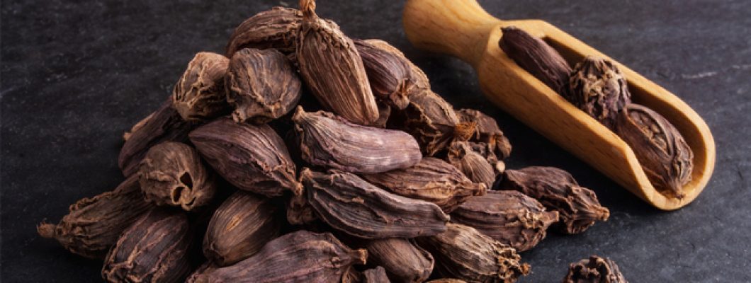 فوائد الهيل الحبشي وأهم استخداماته