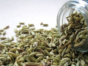 ما تحتاج لمعرفته عن الشمر