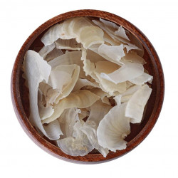 عشبة الكثيرة للشعر