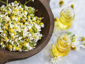 استخدامات أعشاب البابونج وفوائدها