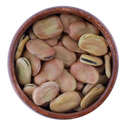 فول كبير الحبة