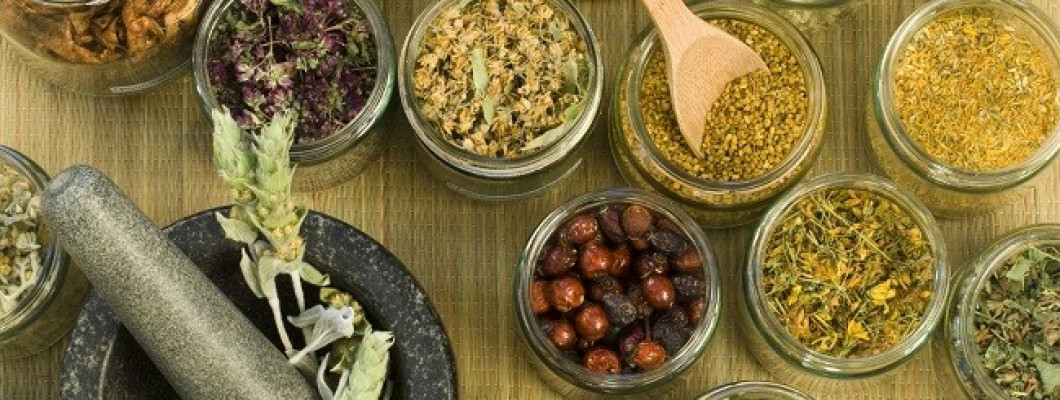 أهم الأعشاب المفيدة للشعر أهم الأعشاب المفيدة للشعر