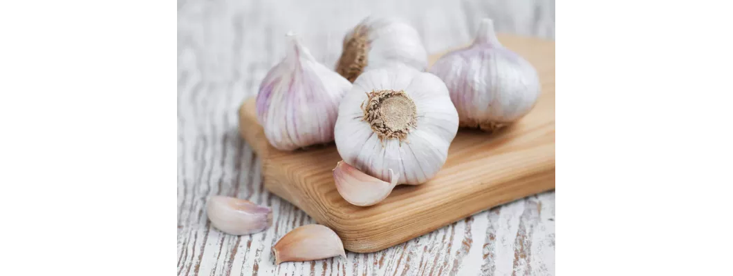 فوائد الثوم الذكر فوائد الثوم الذكر