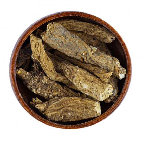 عود الحلبة عود الحلبة