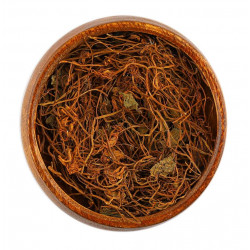 عشبة براهمي