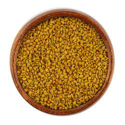 حلبة المدينة المنورة العضوية