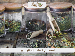 تعرف على افضل اعشاب للبرد