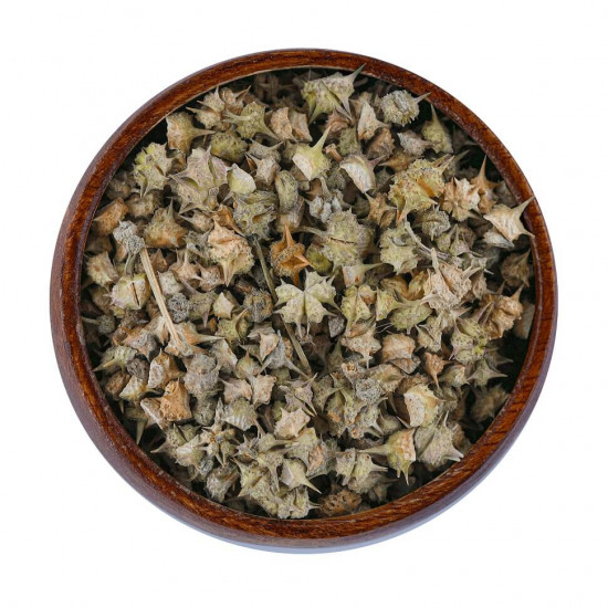 عشبة الحسك عشبة الحسك