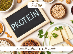تعرف على افضل انواع البروتين للجسم