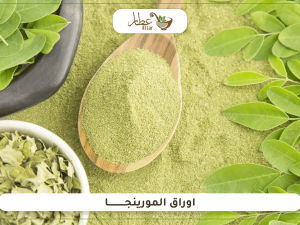 ما هي اوراق المورينجا وما فوائدها واستخداماتها؟ ما هي اوراق المورينجا وما فوائدها واستخداماتها؟