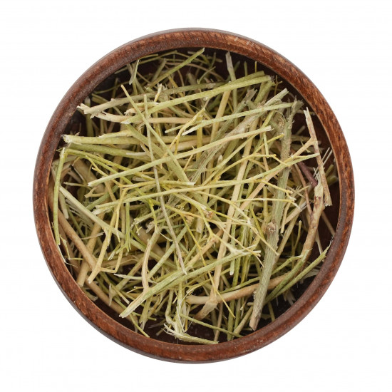 عشبة المدينة عشبة المدينة