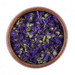 زهرة البنفسج زهرة البنفسج