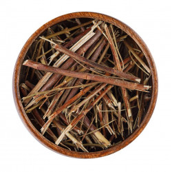 عشبة القديسين