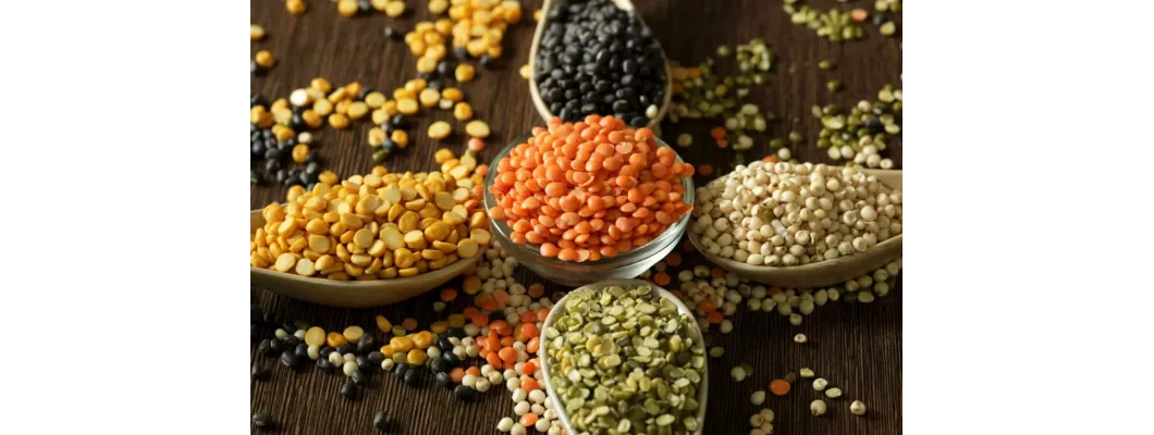 دليل شامل لأنواع العدس: 10 فوائد من العدس البني إلى العدس الاصفر