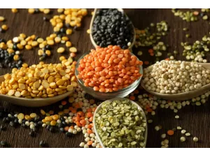 دليل شامل لأنواع العدس: 10 فوائد من العدس البني إلى العدس الاصفر دليل شامل لأنواع العدس: 10 فوائد من العدس البني إلى العدس الاصفر