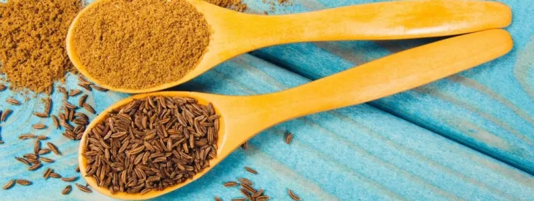 مقارنة بين أنواع الكمون: كيف تختار النوع المناسب لاحتياجاتك