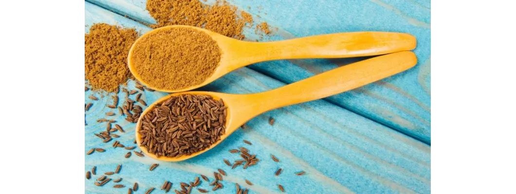 مقارنة بين أنواع الكمون: كيف تختار النوع المناسب لاحتياجاتك مقارنة بين أنواع الكمون: كيف تختار النوع المناسب لاحتياجاتك