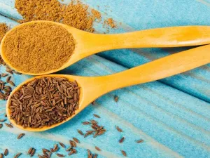 مقارنة بين أنواع الكمون: كيف تختار النوع المناسب لاحتياجاتك