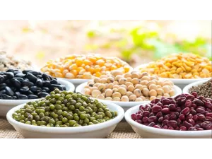 تعرف على انواع الفاصوليا: القيمة الغذائية و4 طرق للتحضير تعرف على انواع الفاصوليا: القيمة الغذائية و4 طرق للتحضير