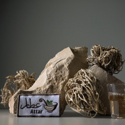 كف مريم كف مريم