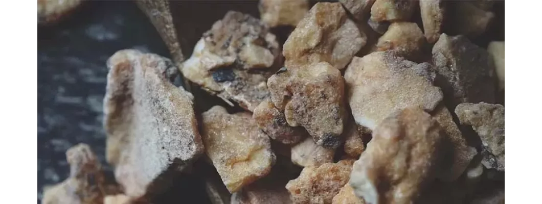 اكتشف فوائد الجاوي الأحمر الآن: الفوائد الصحية والعطر الفريد اكتشف فوائد الجاوي الأحمر الآن: الفوائد الصحية والعطر الفريد