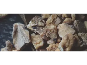 اكتشف فوائد الجاوي الأحمر الآن: الفوائد الصحية والعطر الفريد