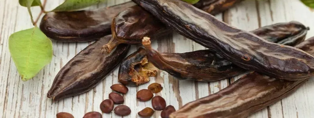 تعرف على دور الخوا جوا في تعزيز المناعة والوقاية من الأمراض تعرف على دور الخوا جوا في تعزيز المناعة والوقاية من الأمراض
