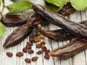 تعرف على دور الخوا جوا في تعزيز المناعة والوقاية من الأمراض
