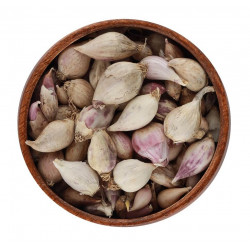 ثوم ذكر ثوم ذكر