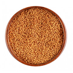 بذور خردل أصفر بذور خردل أصفر