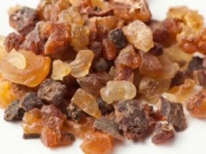 فوائد عشبة المقل للصحة العامة ودوره في الطب البديل