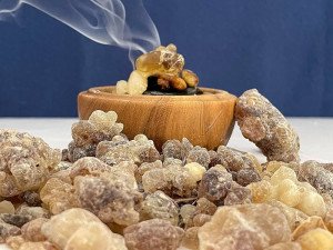 يعالج القولون والتهاب المفاصل: تعرف على فوائد لبان الذكر الحوجري