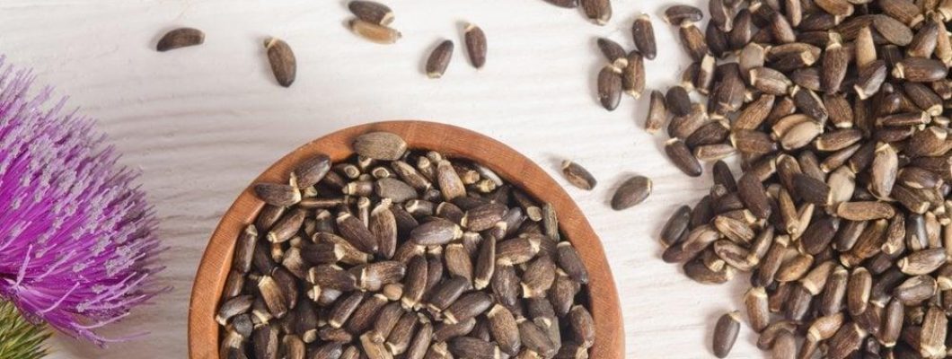 فوائد بذور شوك الجمل: لماذا تعد خيارًا صحيًا مميزًا؟