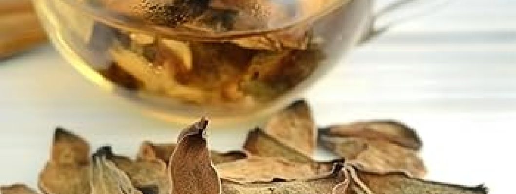 كل ما تريد معرفته عن فوائد سنامكي مع خلطات الأعشاب الطبيعية