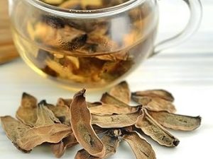 كل ما تريد معرفته عن فوائد سنامكي مع خلطات الأعشاب الطبيعية كل ما تريد معرفته عن فوائد سنامكي مع خلطات الأعشاب الطبيعية