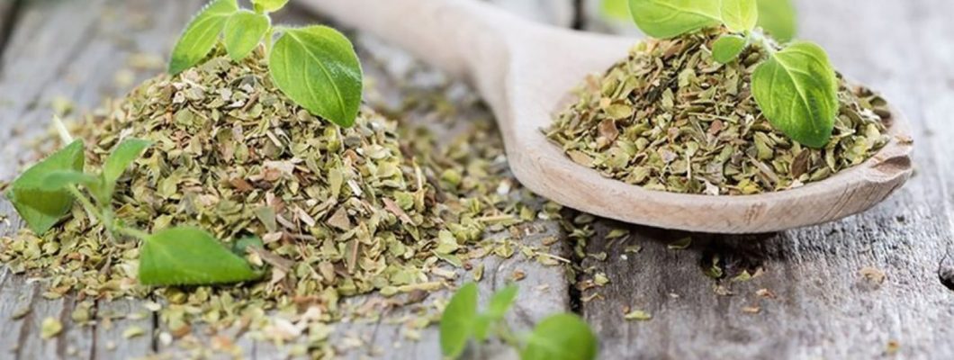 فوائد البردقوش وأهم استخداماته في الحياة اليومية