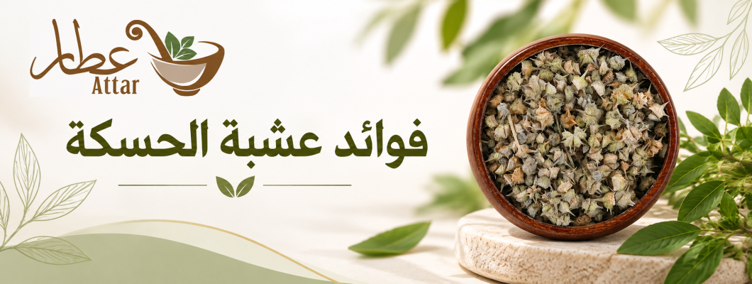 فوائد عشبة الحسكة واستخداماتها الشائعة وأفضل طرق تحضيرها