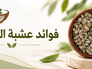 فوائد عشبة الحسكة واستخداماتها الشائعة وأفضل طرق تحضيرها