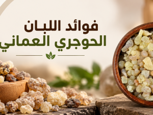 فوائد اللبان الحوجري العماني واستخداماته وأفضل طرق تحضيره