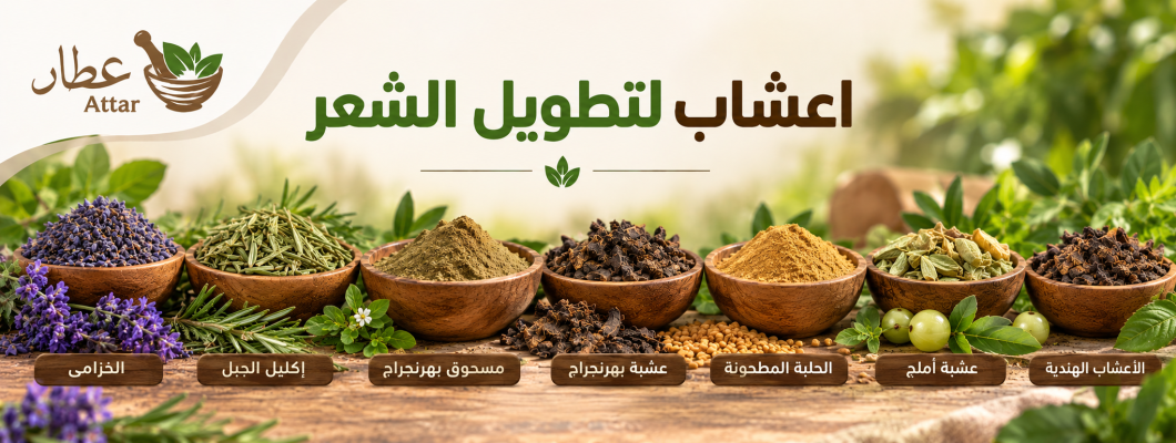 أفضل اعشاب لتطويل الشعر ودعم كثافته بطرق طبيعية أفضل اعشاب لتطويل الشعر ودعم كثافته بطرق طبيعية