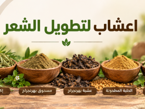 أفضل اعشاب لتطويل الشعر ودعم كثافته بطرق طبيعية