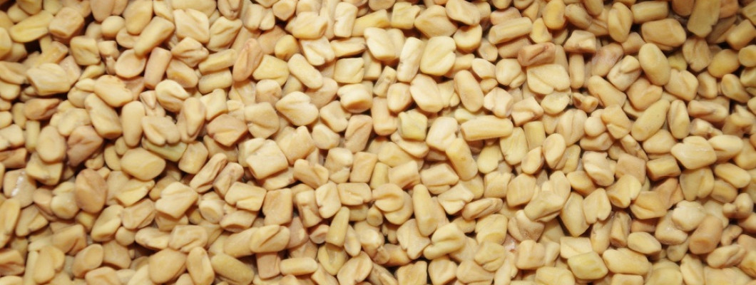 كيف تخفف طعم وريحة الحلبة كيف تخفف طعم وريحة الحلبة