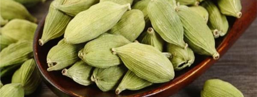 فوائد الهيل الهندي وأهم استخداماته فوائد الهيل الهندي وأهم استخداماته