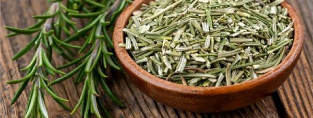 أهم فوائد عشبة إكليل الجبل (روزماري) أهم فوائد عشبة إكليل الجبل (روزماري)