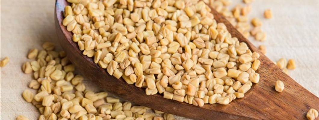 أهم فوائد واستخدامات الحلبة اليمنية أهم فوائد واستخدامات الحلبة اليمنية