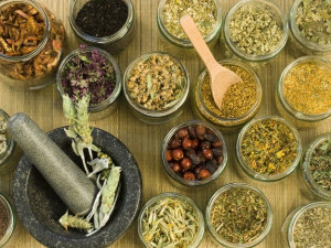 أهم الأعشاب المفيدة للشعر أهم الأعشاب المفيدة للشعر