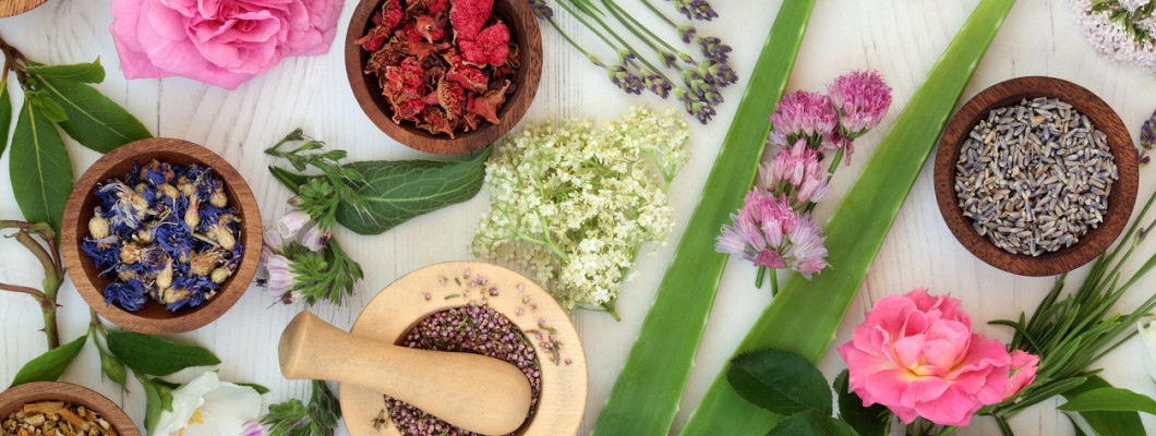 أهم الأعشاب المفيدة للبشرة