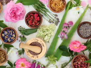 أهم الأعشاب المفيدة للبشرة