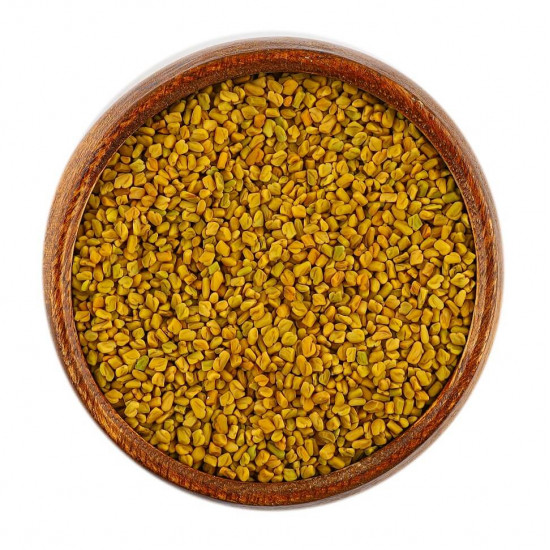 حلبة المدينة المنورة العضوية